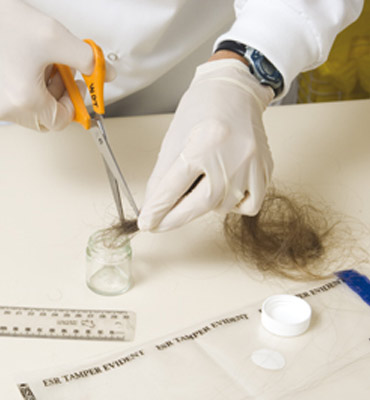 analytical research labs hair test